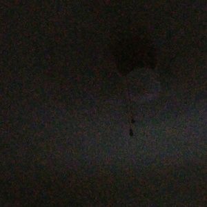 Meet your Posher, Greg